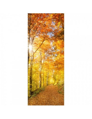 Banner-poster camino en el bosque otoñal con sol entre las hojas 75 x 180 cm para decorar escaparates en otoño