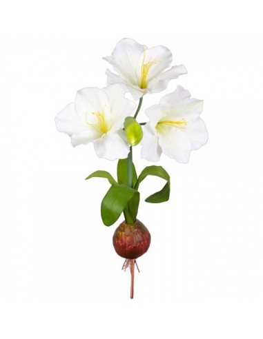 Planta amarilis xl con bulbo y 3 flores blanca Ø50x108cm-La Decoteca
