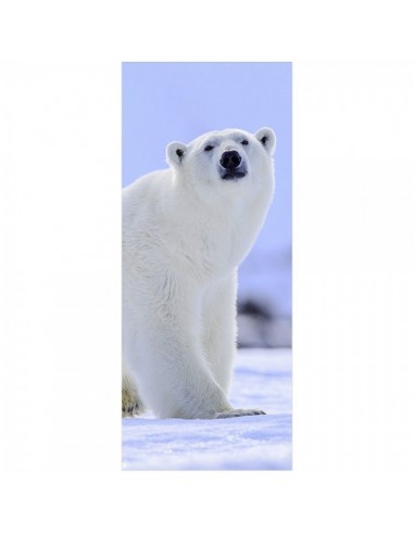 Banner oso polar para la decoración de escaparates en invierno en tiendas