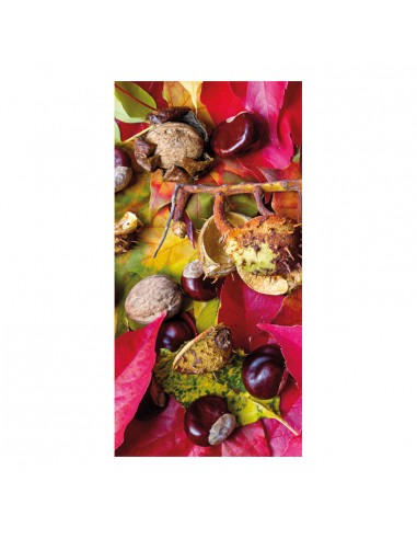 Banner-foto castañas de otoño con estampado de hojas para la decoración del fondo decorativo en los escaparates de tiendas