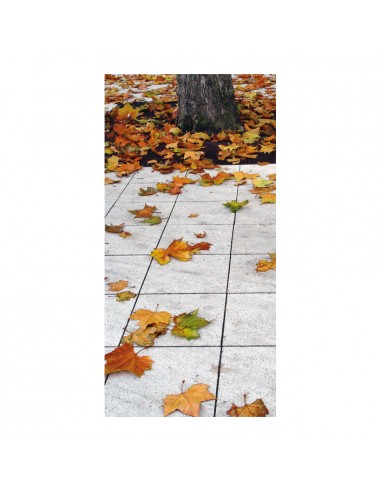 Banner-foto hojas otoñales en el suelo para la decoración del fondo decorativo en los escaparates de tiendas