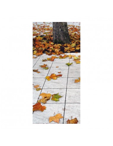 Banner-foto hojas otoñales en el suelo para la decoración del fondo decorativo en los escaparates de tiendas