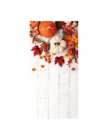 Banner-foto decoración otoñal con fondo blanco para la decoración del fondo decorativo en los escaparates de tiendas