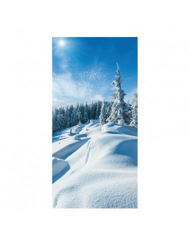 Banner-foto paisaje de árboles con nieve para la decoración del fondo decorativo en los escaparates de tiendas