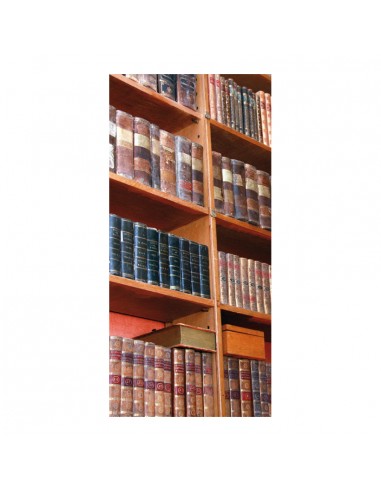 Banner-foto estanteria de libros para la decoración del fondo decorativo en los escaparates de tiendas