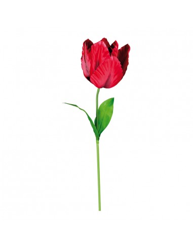 Tulipán para la decoración de verano en escaparates de tiendas o comercios