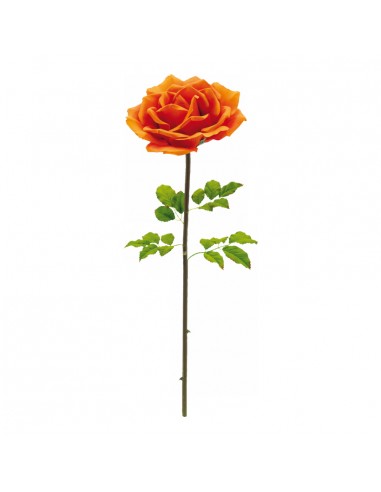 Rosa para la decoración en del día de los enamorados