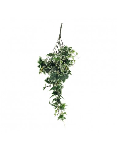 Arbusto de hiedra para la decoración de verano en escaparates de tiendas o comercios