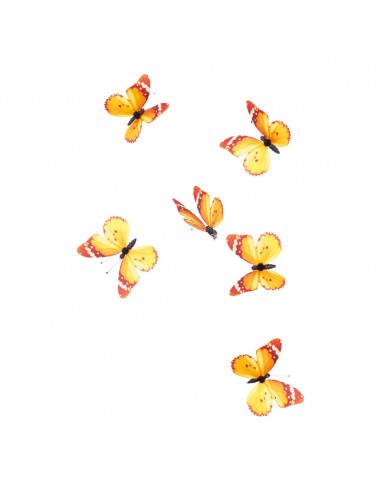 Mariposa con clip para la decoración de verano en escaparates de tiendas o comercios