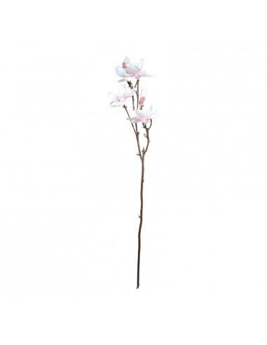 Ramita de magnolia para la decoración de verano en escaparates de tiendas o comercios