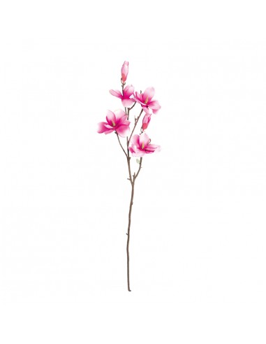 Ramita de magnolia para la decoración de verano en escaparates de tiendas o comercios