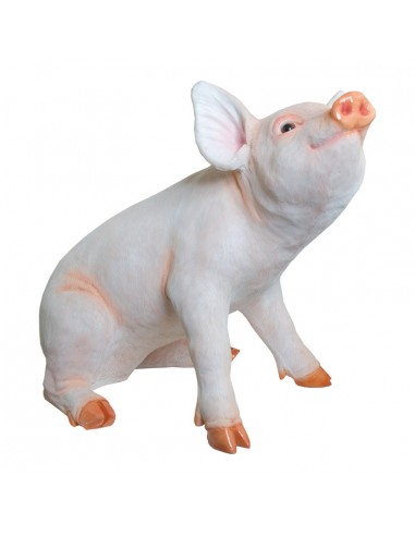 Cerdo sentado para la decoración de verano en escaparates de tiendas o comercios