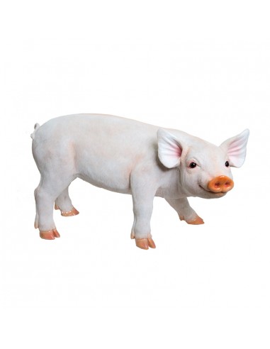 Cerdo de pie para la decoración de verano en escaparates de tiendas o comercios