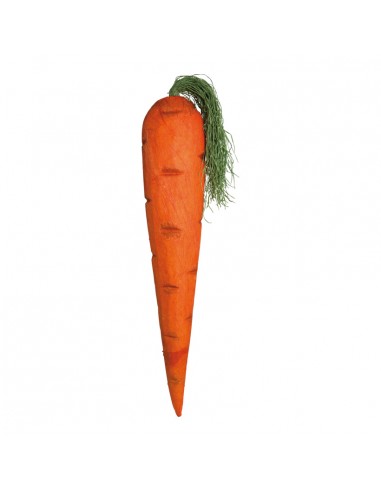 Zanahoria para la decoración de verano en escaparates de tiendas o comercios