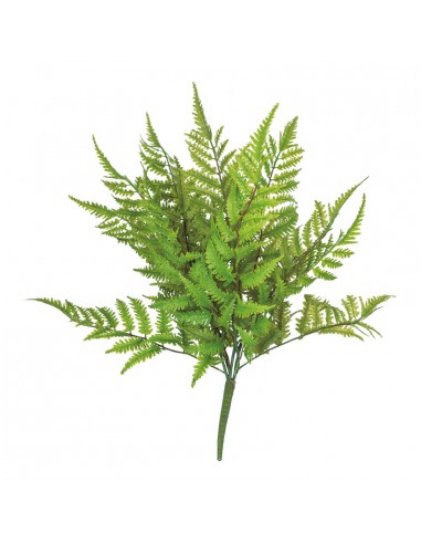 Arbusto de hoja de helecho para la decoración de verano en escaparates de tiendas o comercios
