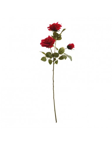 Aerosol de rosas para la decoración en del día de los enamorados