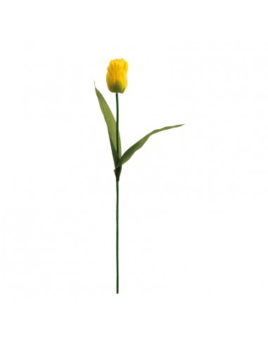 Tulipán para la decoración de verano en escaparates de tiendas o comercios