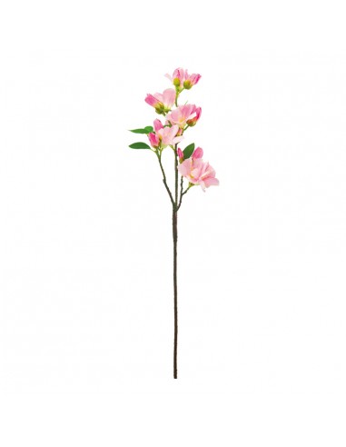 Ramita de cerezo en flor para la decoración de verano en escaparates de tiendas o comercios