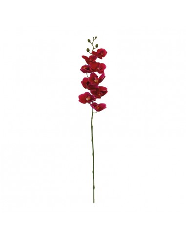 Orquídea con tallo para la decoración de verano en escaparates de tiendas o comercios