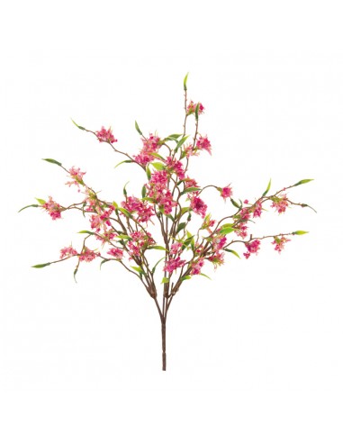 Arbusto de flores para la decoración de verano en escaparates de tiendas o comercios