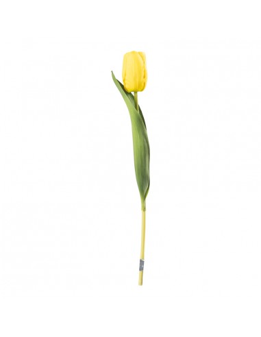 Tulipán en tallo para la decoración de verano en escaparates de tiendas o comercios