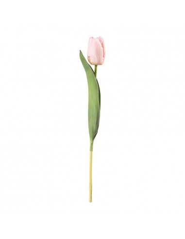 Tulipán en tallo para la decoración de verano en escaparates de tiendas o comercios