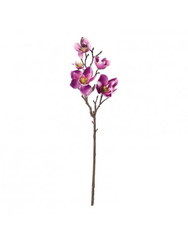 Aerosol de magnolia para la decoración de verano en escaparates de tiendas o comercios