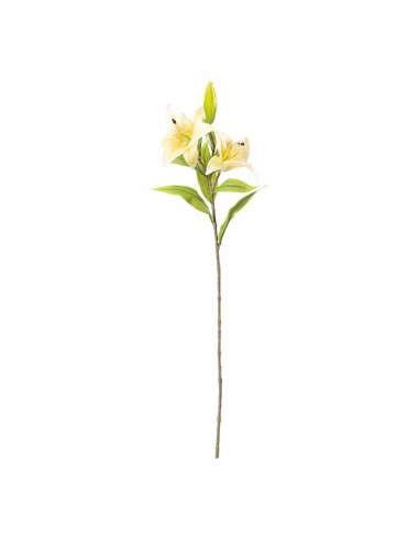 Flor del lirio para la decoración de verano en escaparates de tiendas o comercios