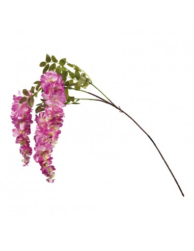 Rama de wisteria laburnum para la decoración de verano en escaparates de tiendas o comercios