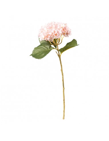 Hortensia en tallo para la decoración de verano en escaparates de tiendas o comercios