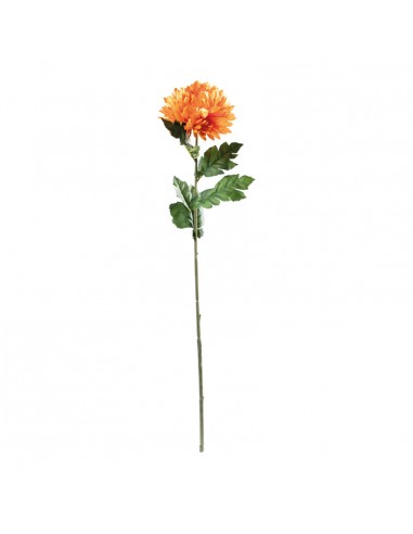 Crisantemo en tallo para la decoración de verano en escaparates de tiendas o comercios