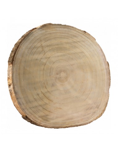 Disco de tronco de árbol para la decoración otoñal de escaparates y espacios