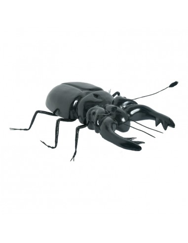 Escarabajo ciervo para la decorar en otoño los escaparates o espacios