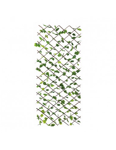 Valla de hojas de parra para la decoración de la vendimia en licorerías catas bodegas de vino