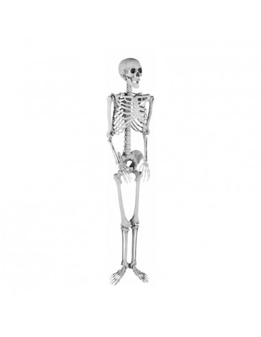 Esqueleto para la fiesta de Halloween