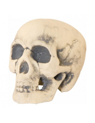Cráneo para la fiesta de Halloween