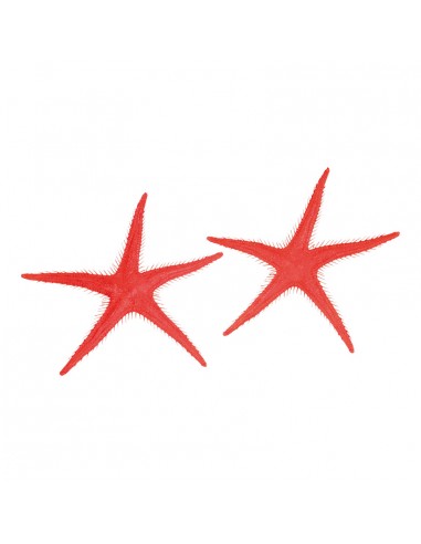 Imitación de estrellas de mar para pescaderías y la decoración de escaparates de tiendas o comercios
