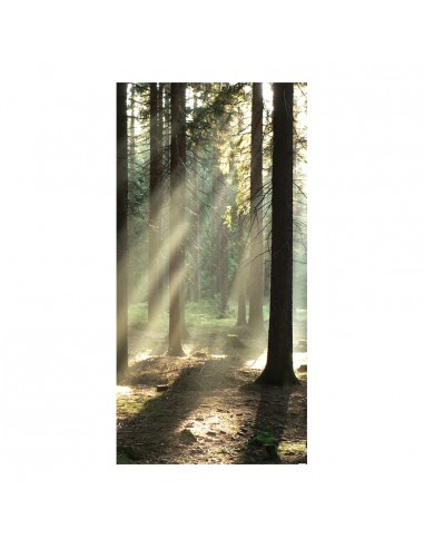 Banner-foto bosque para decorar escaparates en otoño