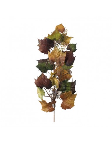 Rama de hojas de vid para la decoración de la vendimia en licorerías catas bodegas de vino