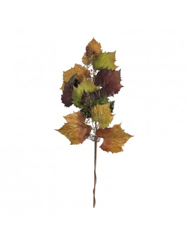 Rama de hojas de vid para la decoración de la vendimia en licorerías catas bodegas de vino