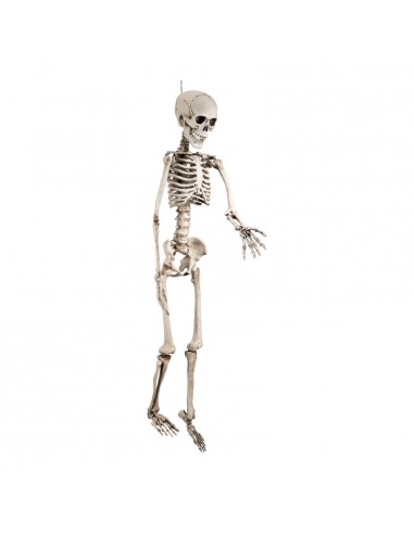 Esqueleto decorativo para la fiesta de Halloween