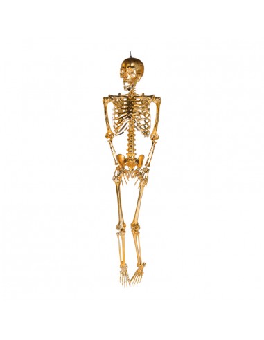Esqueleto con percha para la fiesta de Halloween