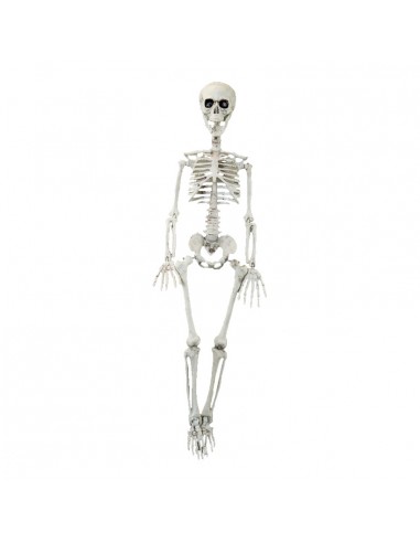 Esqueleto decorativo para la fiesta de Halloween