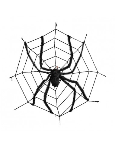 Araña en su telaraña para Halloween en escaparates de tiendas