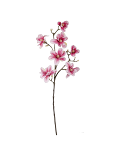 Rama de magnolia para escaparates de primavera en tiendas y centros comerciales