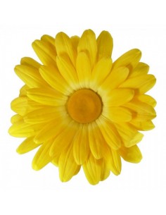 Flor de margarita para escaparates de primavera en tiendas y centros comerciales