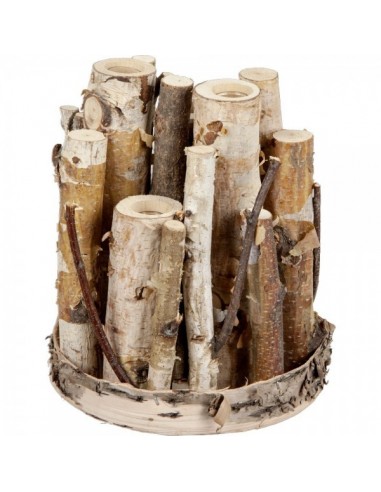 Florero de troncos de abedul incrustado tubos de ensayo para la decorar en primavera centros comerciales y escaparates