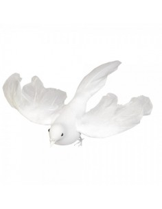Paloma blanca volando para la decorar el día de san Valentín en restaurantes y escaparates de tiendas