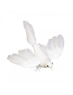Paloma blanca volando para la decorar el día de san Valentín en restaurantes y escaparates de tiendas