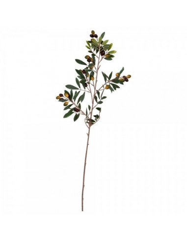 Rama de olivo natural con aceitunas verdes y lechín para escaparates en verano de tiendas o comercios